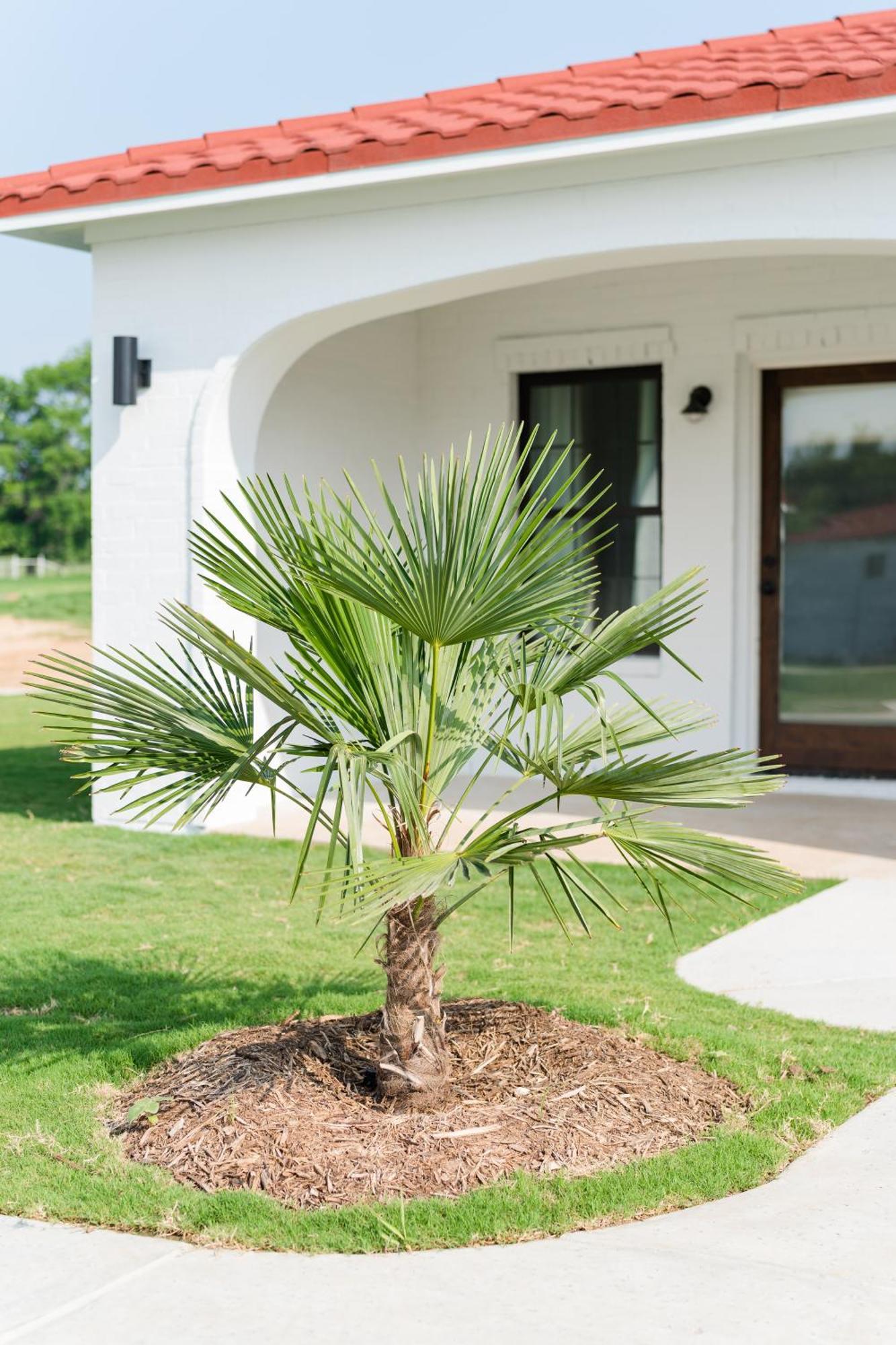 La Palmilla Texas Hotel Glen Rose Exterior photo